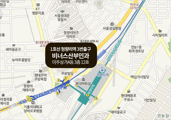 지도